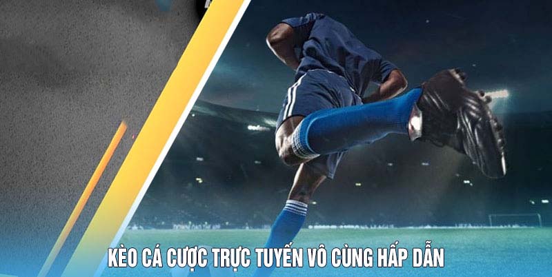 Kèo Cá Cược Trực Tuyến - 78win Cung Cấp Kèo Cược Đa Dạng 4 Kèo cá cược trực tuyến vô cùng hấp dẫn